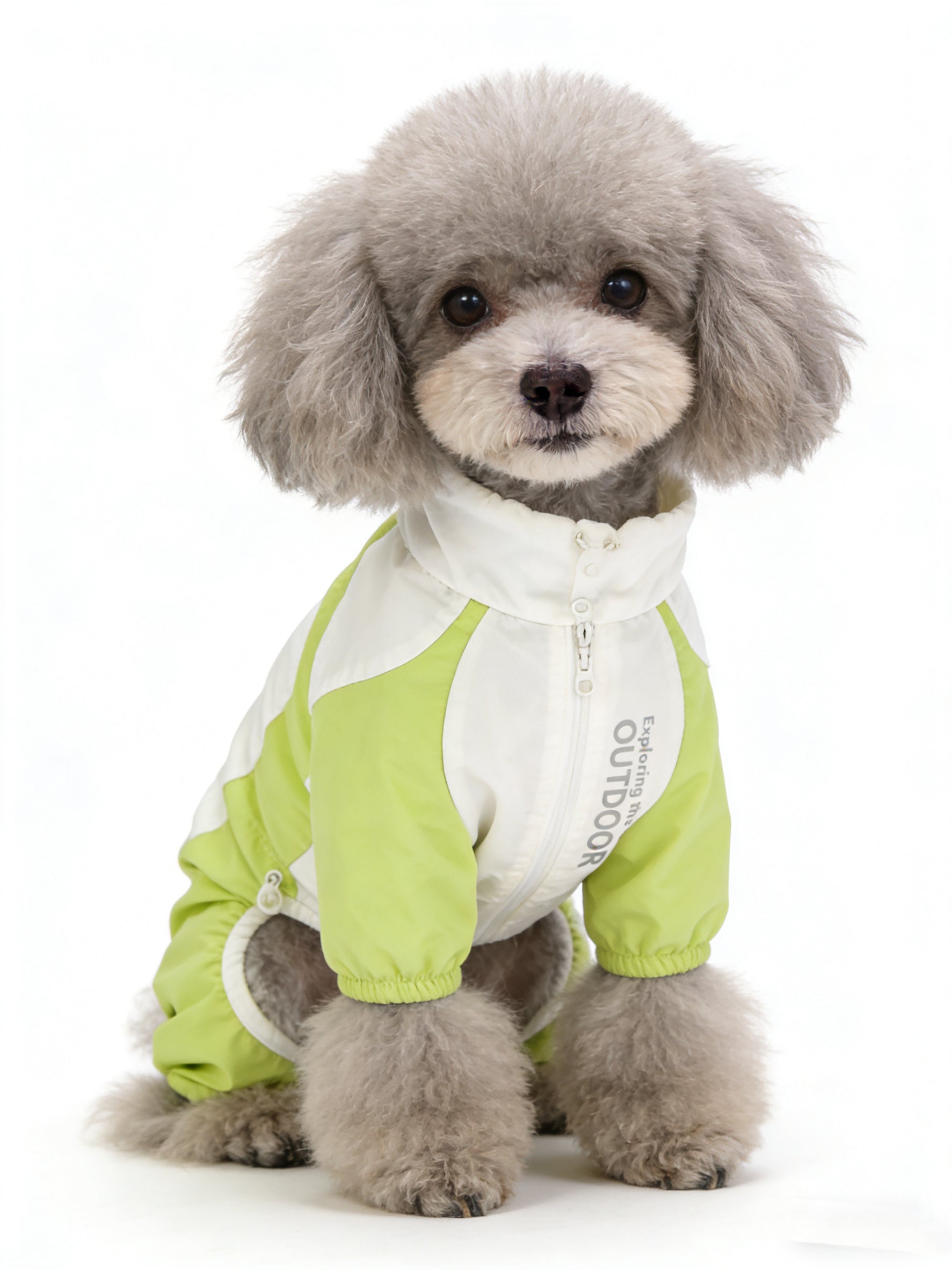 Two-Tone Outdoor Windproof Dog Jumpsuit