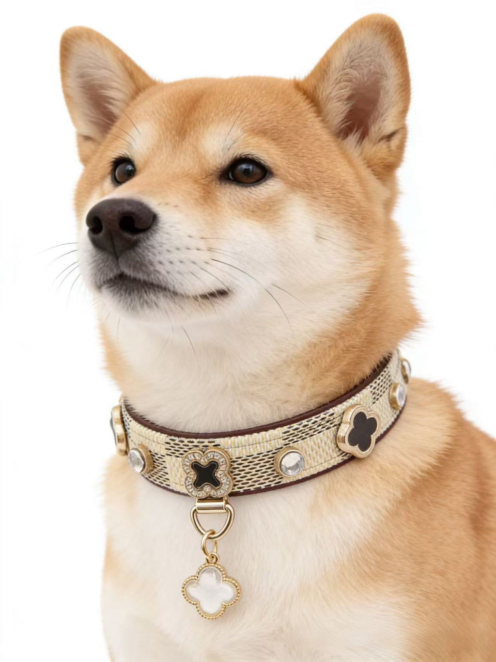 Luxury Clover & Crystal Pet Collar