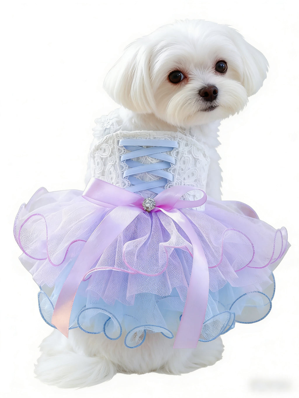 Pastel Lace Corset Pet Tutu Dress