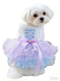 Pastel Lace Corset Pet Tutu Dress