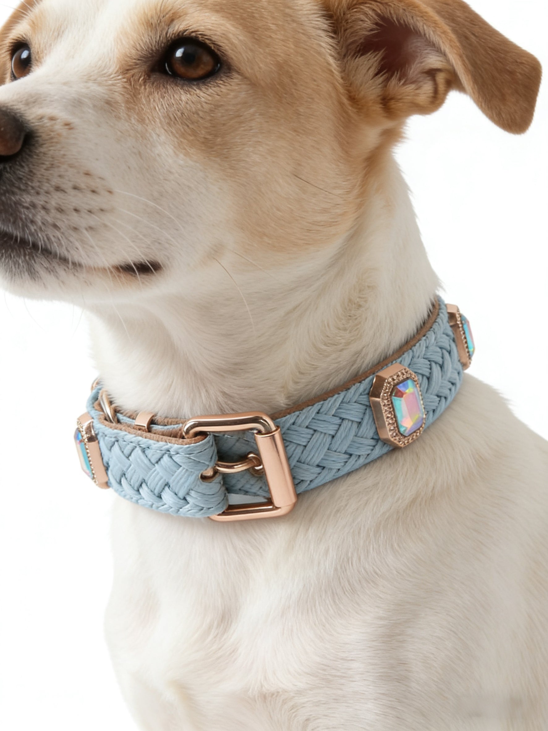 Ice Blue Woven Crystal Pet Collar