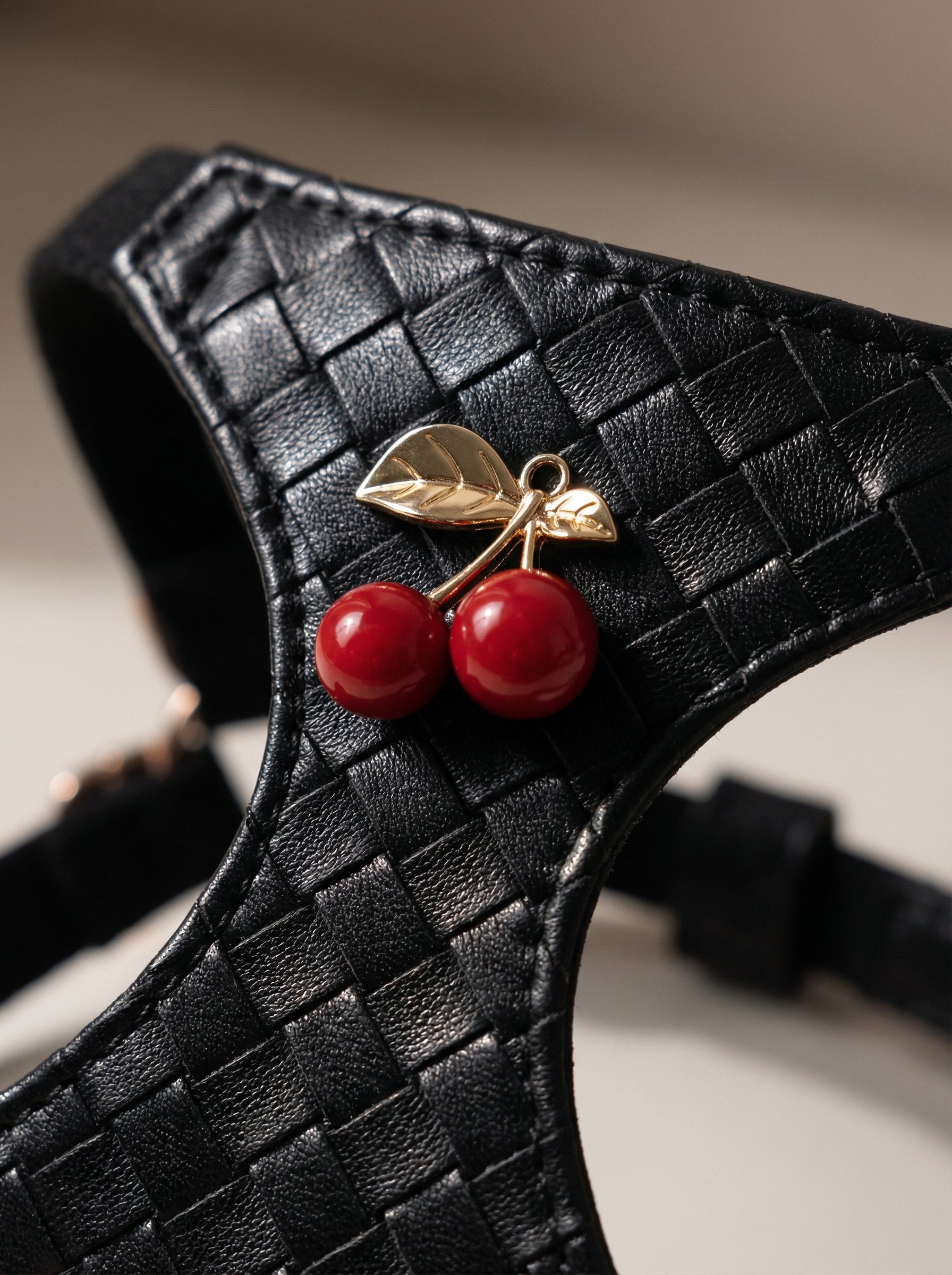Black Woven Cherry Accent Pet Harness & Leash Set