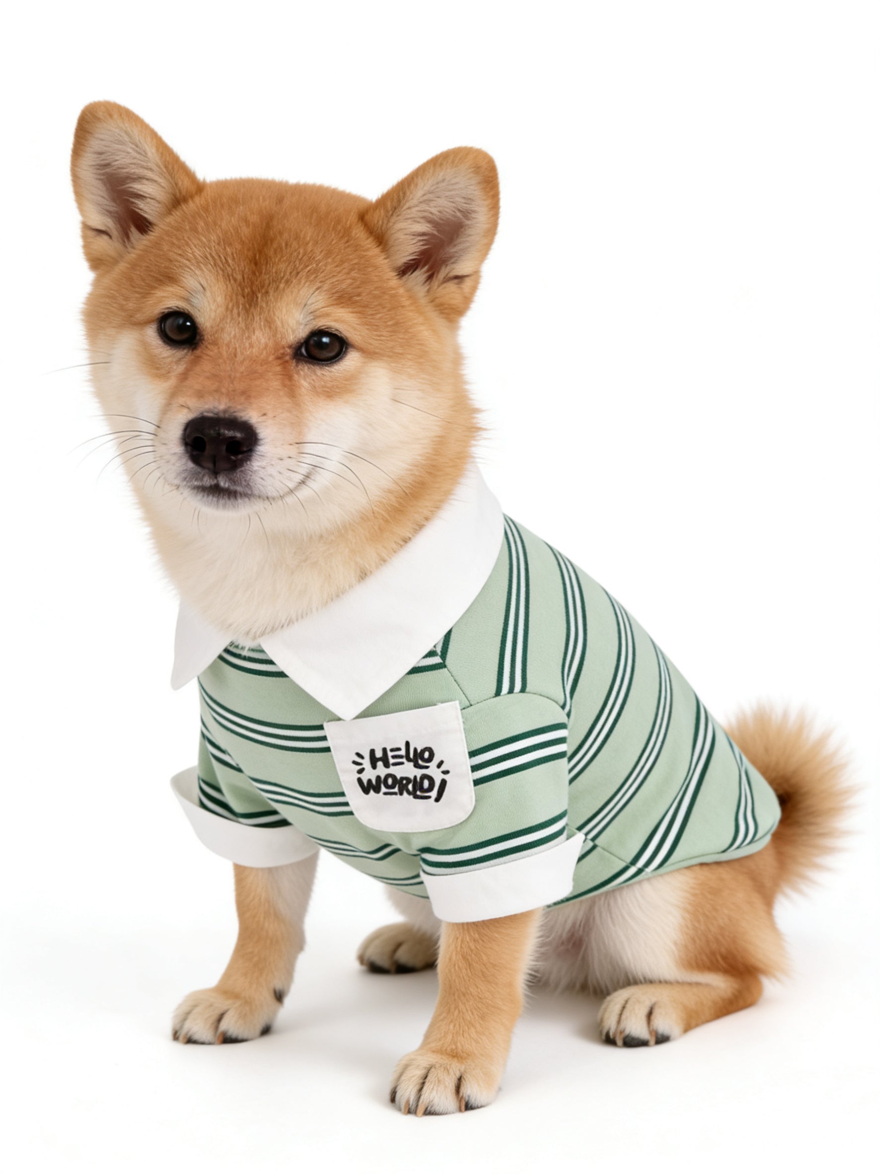 "Hello World" Stripe Polo Dog Shirt (2 Colors)