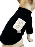"Stay Pawsitive" Black Dog T-Shirt