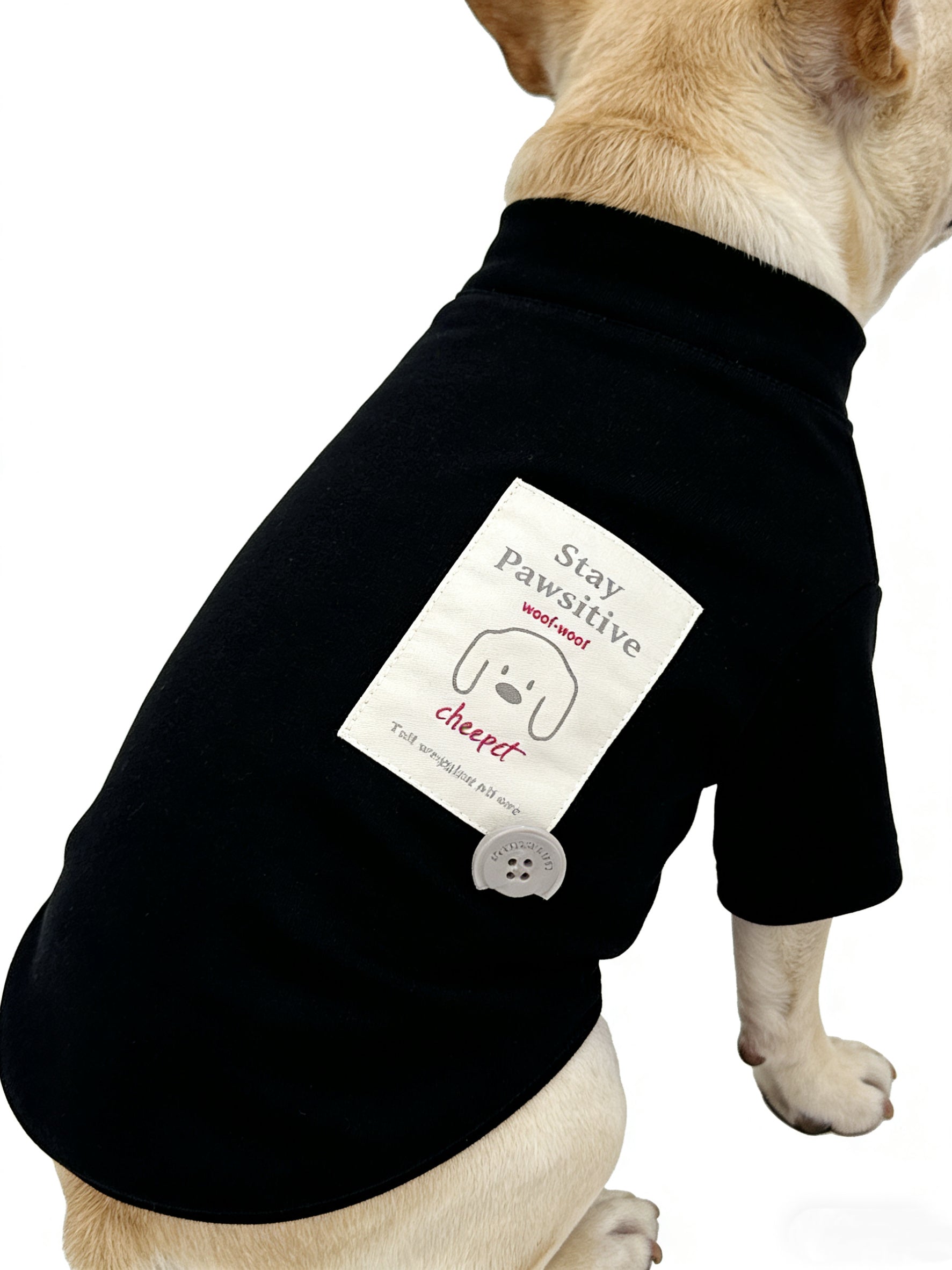 "Stay Pawsitive" Black Dog T-Shirt