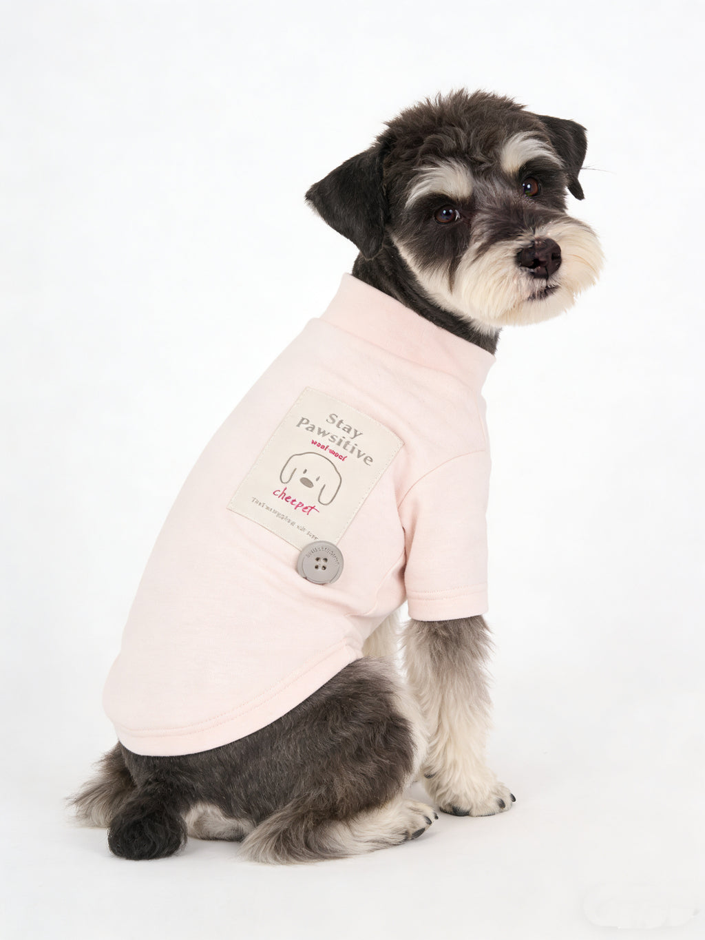 "Stay Pawsitive" Black Dog T-Shirt