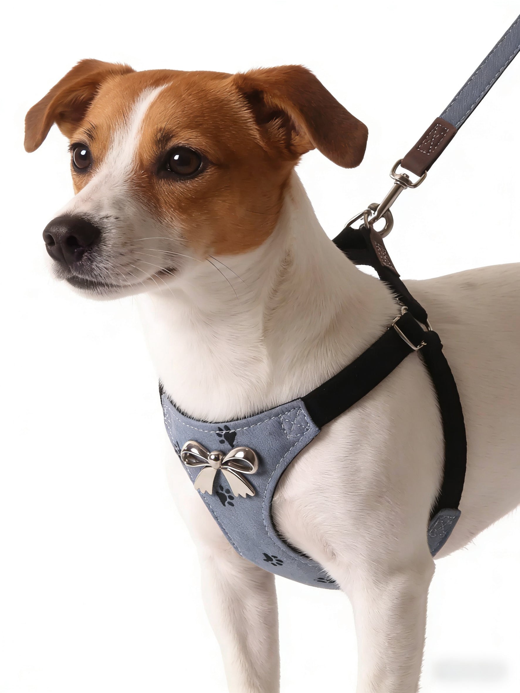 Denim Paw Print Bow Pet Harness & Leash Set