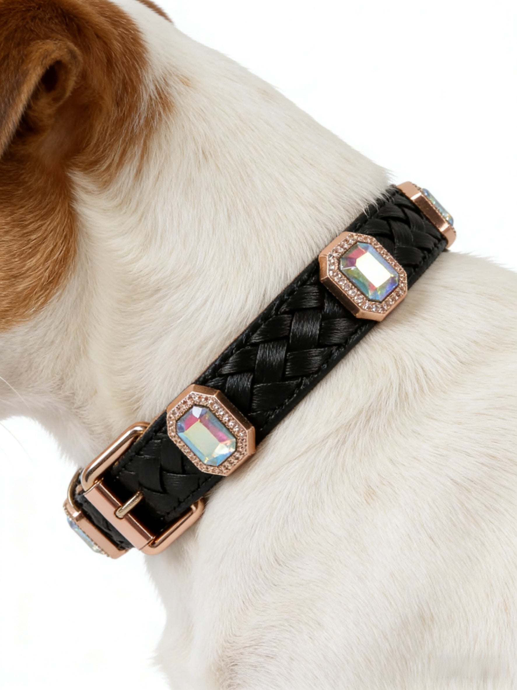 Black Woven Crystal Pet Collar