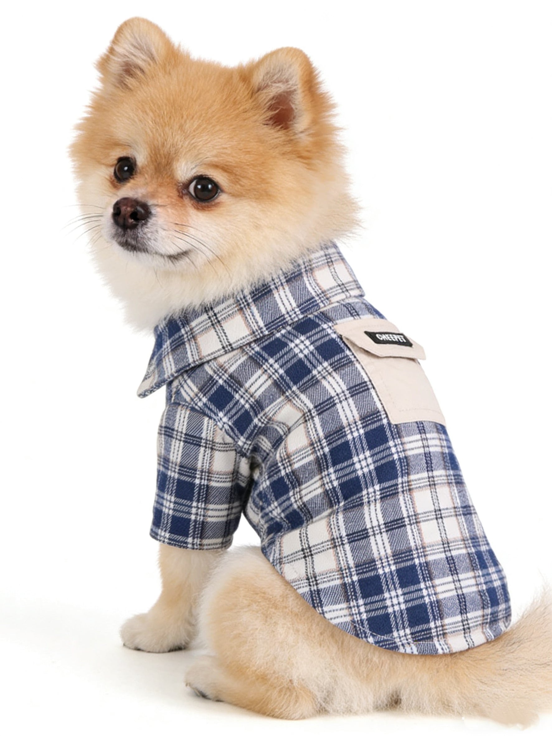 Navy Plaid Button-Down Dog Shirt