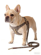 Heritage Plaid Pet Harness & Leash Set