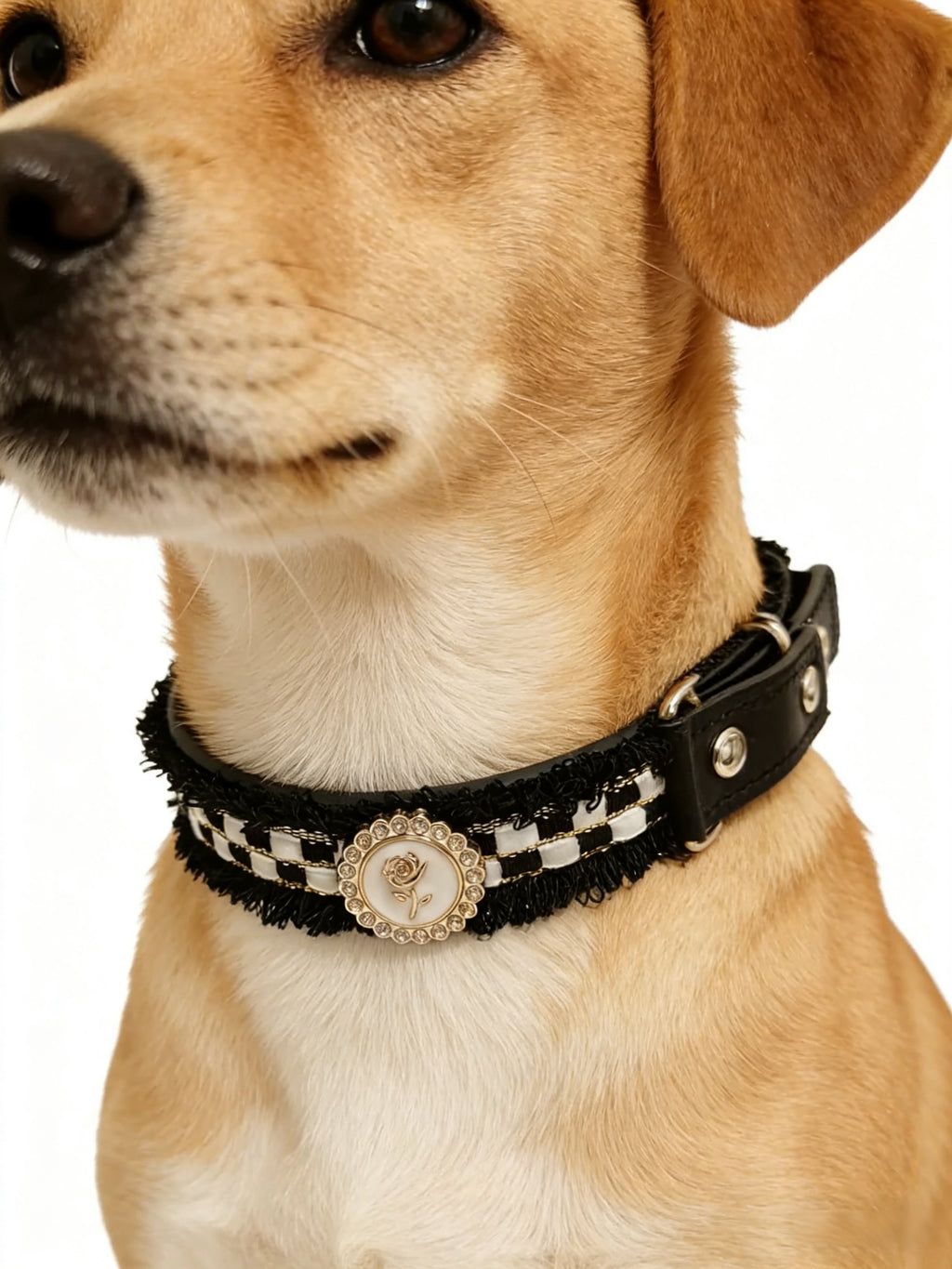 Black & White Tweed Pet Collar