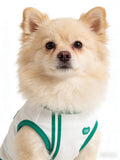 Colorblock Pet Tank Top (2 Colors)