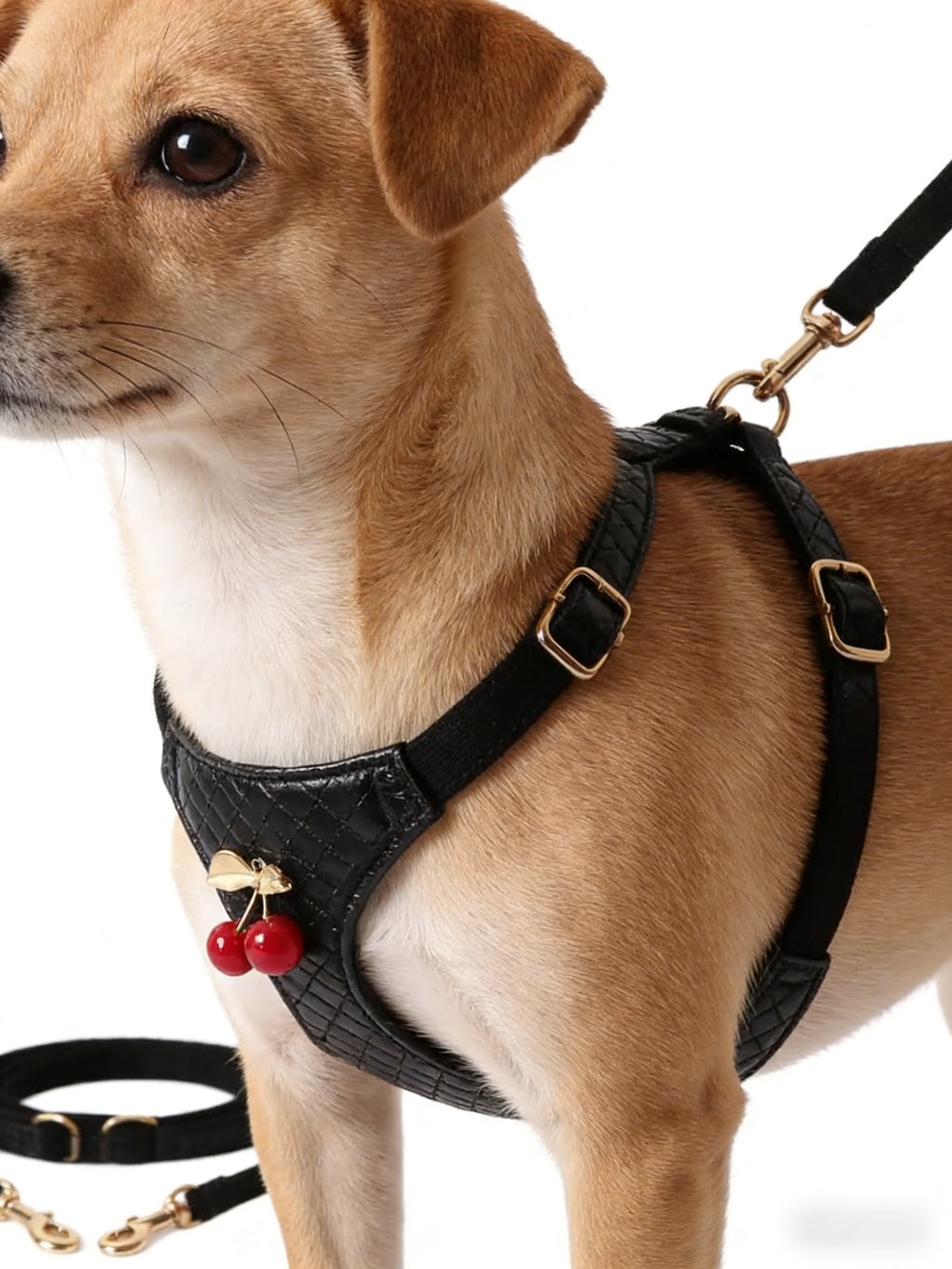 Black Woven Cherry Accent Pet Harness & Leash Set
