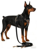 Noir Jacquard Pet Harness & Leash Set