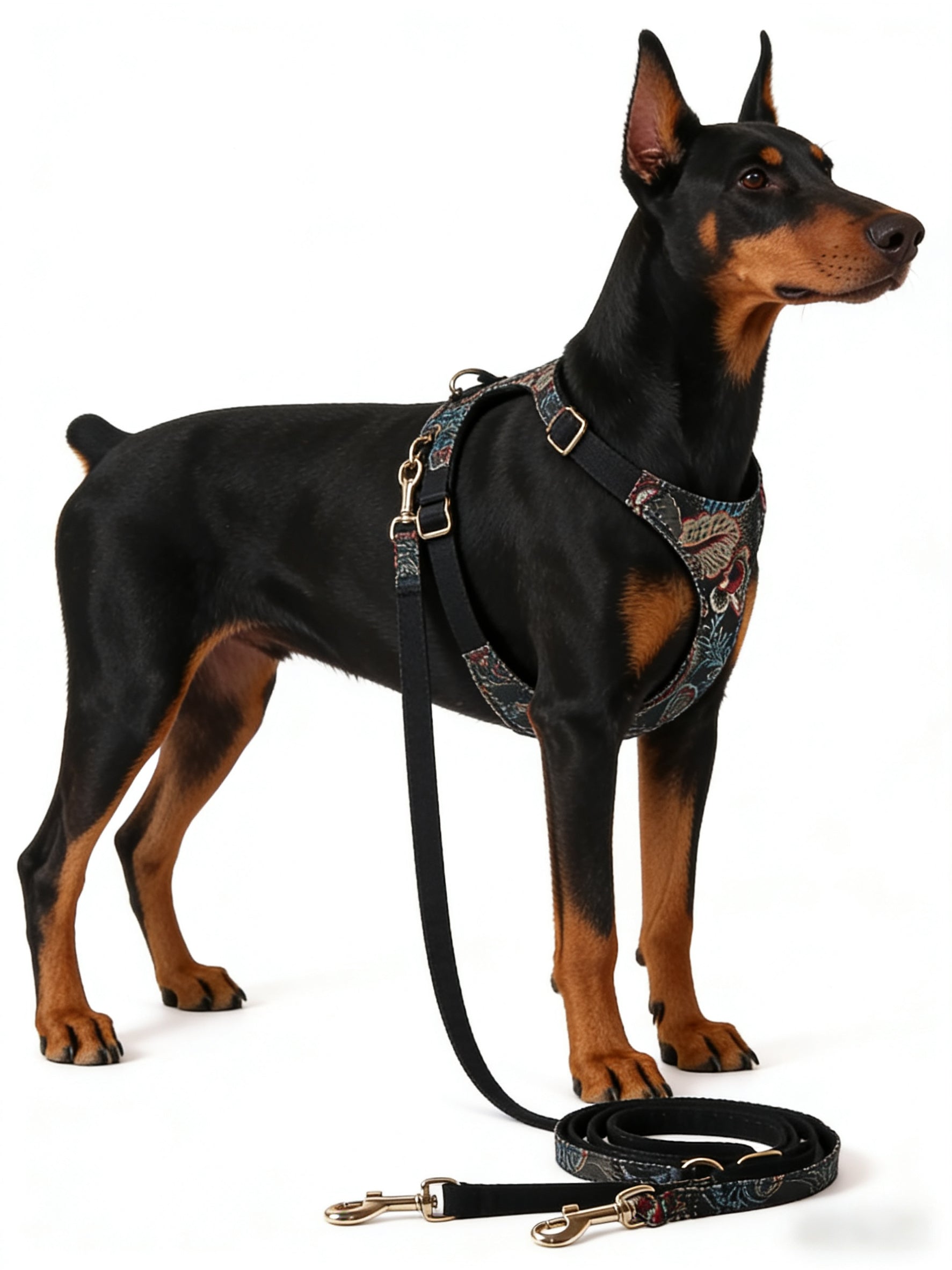 Noir Jacquard Pet Harness & Leash Set