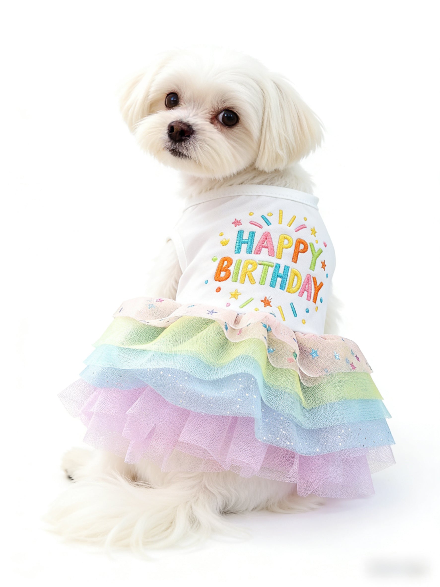 Rainbow "Happy Birthday" Tutu Dog Dress