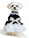 Black Velvet & Lace Victorian Pet Dress