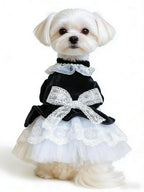 Black Velvet & Lace Victorian Pet Dress