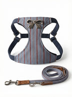 Ribbon Stripe Pet Harness & Leash Set