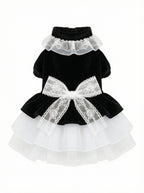 Black Velvet & Lace Victorian Pet Dress