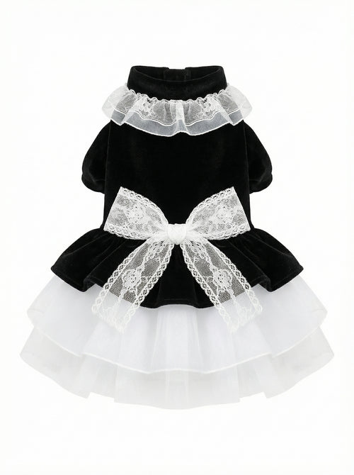 Black Velvet & Lace Victorian Pet Dress