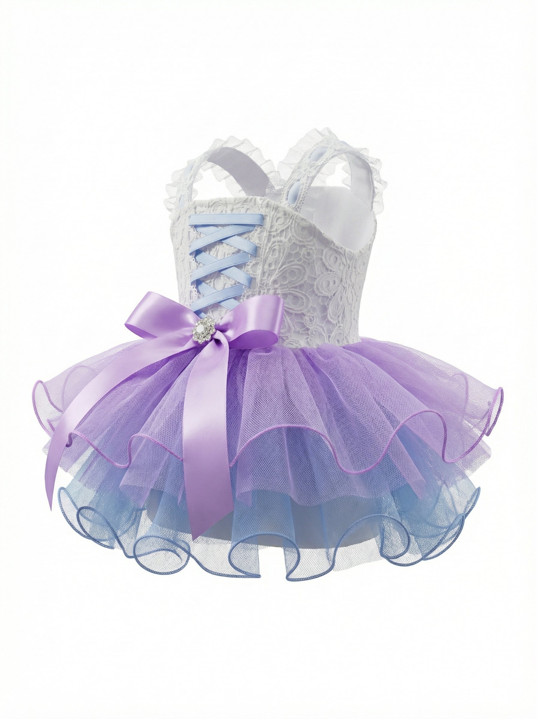 Pastel Lace Corset Pet Tutu Dress
