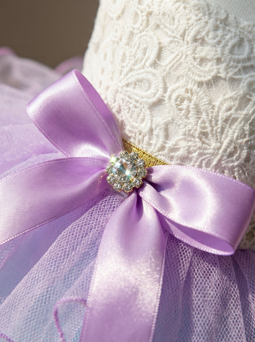 Pastel Lace Corset Pet Tutu Dress