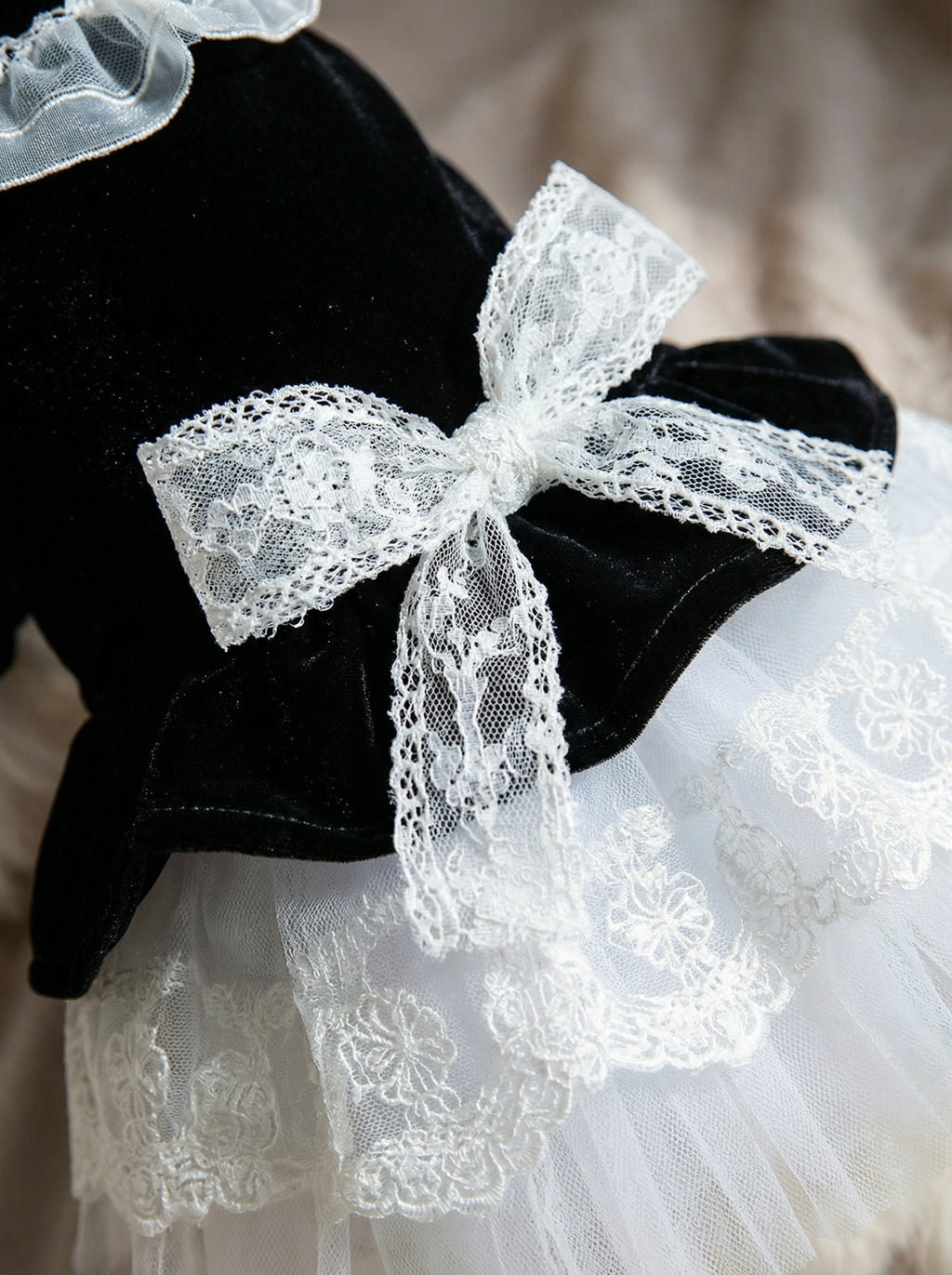 Black Velvet & Lace Victorian Pet Dress