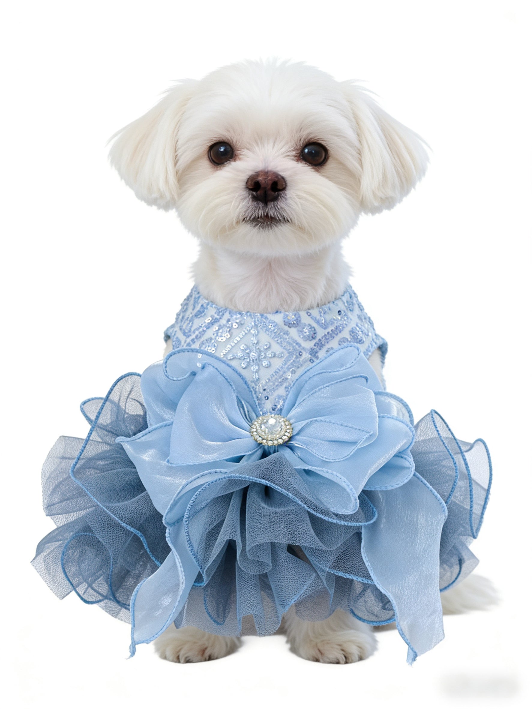 Blue Sequin & Tulle Pet Party Dress