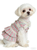 Pink & Green Tweed Pearl Bow Pet Dress