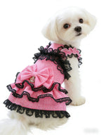 Pink Gingham & Black Lace Tiered Pet Dress